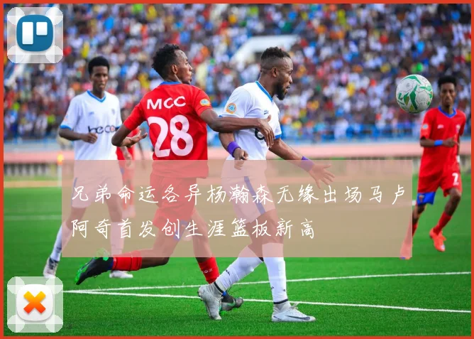 兄弟命运各异杨瀚森无缘出场马卢阿奇首发创生涯篮板新高